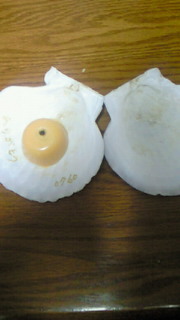 201201212324001.jpg